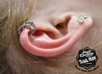 Two titanium CBR's make the perfect adornment for this clients forward helix piercings